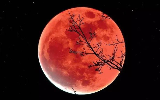 Ay olmasaydı dünyada neler olurdu? - Resim: 17